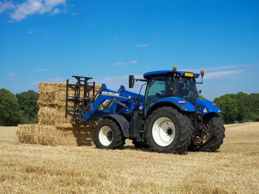 pexels mike bird 12973136